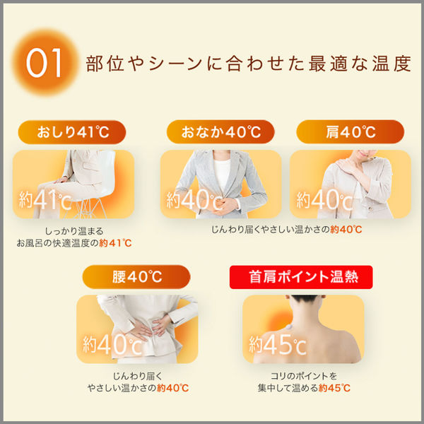 On Style オンスタイル 腰40℃ 直貼りタイプ 温熱シート カイロ 腰用 1セット（10枚：5枚入×2箱） エステ― アスクル