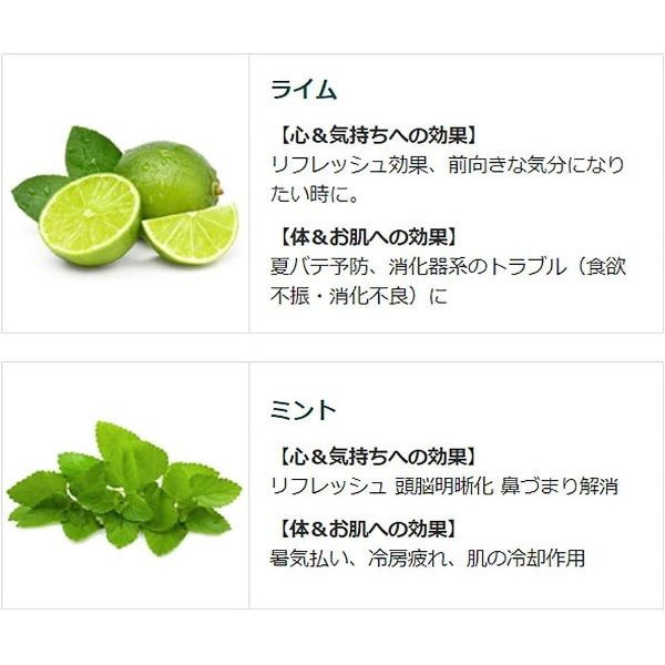 数量限定】 入浴剤 クール クナイプ バスソルト ライムミントの