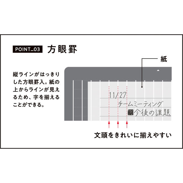 レイメイ藤井 大人の魔法のザラザラ下じき A4 グレー U1255N 1枚 レイメイ藤井 大人の魔法のザラザラ下じき A4 グレー U1255N 1枚