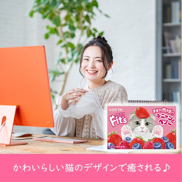 Fit's＜ふニャンとベリー＞ 10個 ロッテ ガム - アスクル