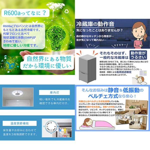 イー・エム・エー ミニ冷蔵庫 20L ペルチェ式 無音 3段階温度調節