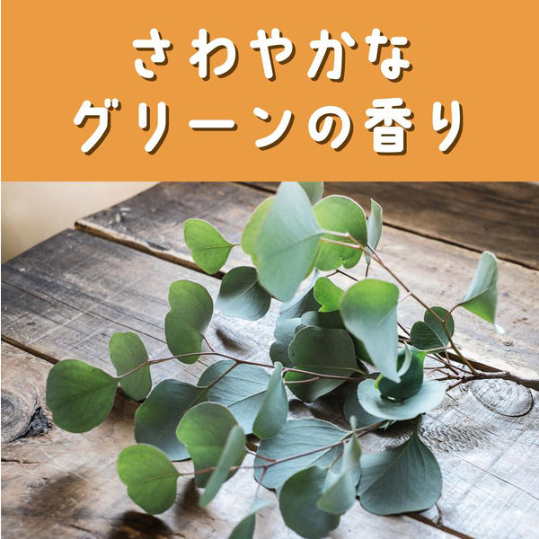 虫よけ カオリング 大人用 虫除け リング 6個入 2袋 大日本除虫菊