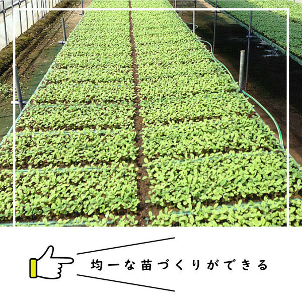 日本甜菜製糖 チェーンポット CP303 1冊（直送品） - アスクル