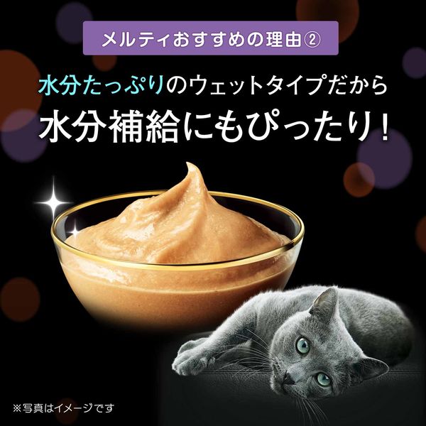 シーバ とろ～り メルティ まぐろ＆かつお味グルメセレクション（12g