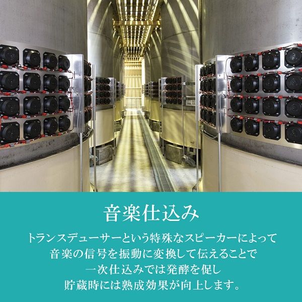 田苑 芋焼酎 金ラベル 25度 1.8L パック 1本 樽貯蔵 田苑酒造 田苑 芋焼酎 金ラベル 25度 1.8L パック 1本 樽貯蔵 田苑酒造