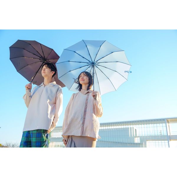 SMV JAPAN 12本骨折りたたみ傘 江戸 天青×菊籠目文 SMV-41575 1