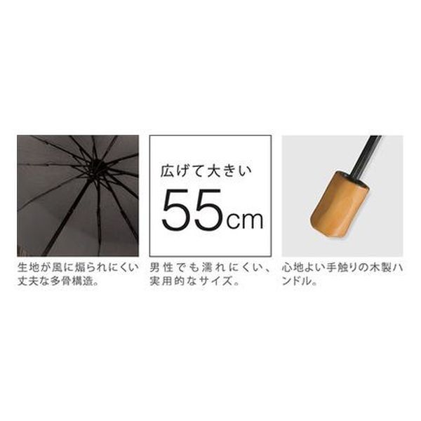 春画折りたたみ本 81bkdHA9AXL.jpg