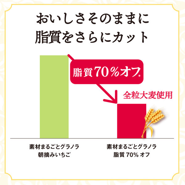 素材まるごとグラノラ 脂質70%オフ 1セット（1袋×6） 日本ケロッグ - アスクル