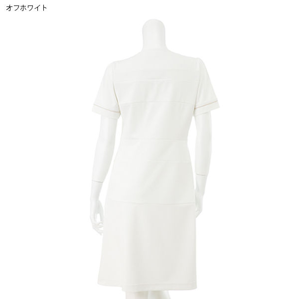 nurse one-piece dress ナースワンピース 予約商品】nurse one-piece dress（ナースワンピース