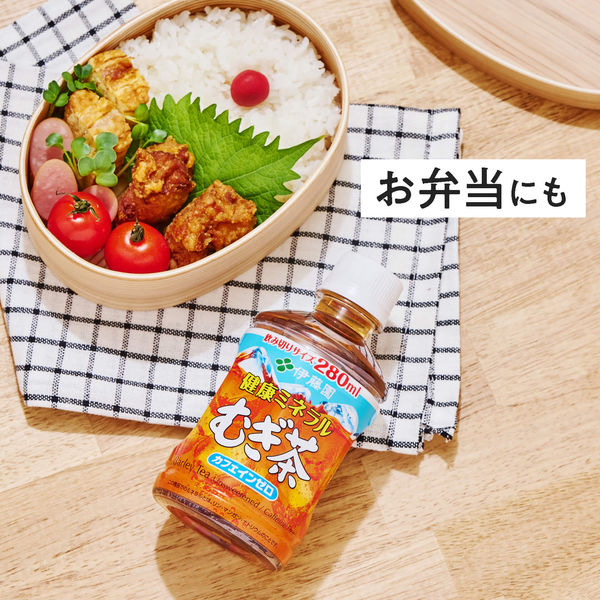 伊藤園 健康ミネラルむぎ茶 280ml 1セット(96本) 麦茶 お茶 小 伊藤園 健康ミネラルむぎ茶 280ml 1セット(96本) 麦茶 お茶 小