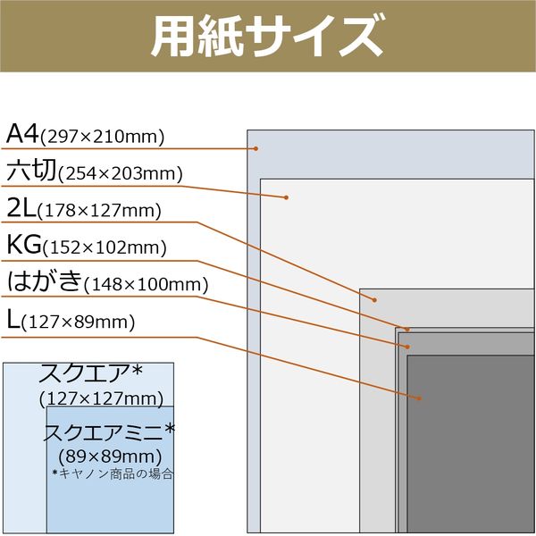 キヤノン 写真用紙・光沢ゴールド A4 GL-101A450 1袋（50枚入） - アスクル