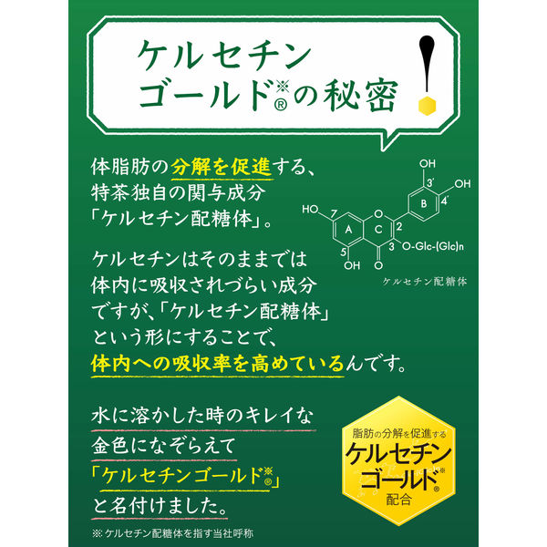 トクホ・特保】サントリー 伊右衛門 特茶 ジャスミン 500ml 1セット 