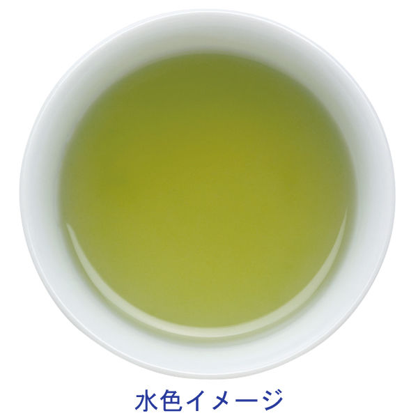 煎茶一式 煎茶名人憲太郎 TM-40E[煎茶70g] 芳翠園 HOSUIEN 一番茶 水出し