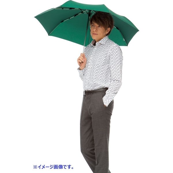 SMV JAPAN 高強度折りたたみ傘ストレングスミニ白骨 ロイヤル