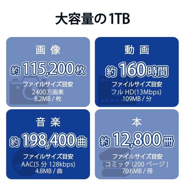 SSD 外付け 1TB 小型 ノック式 USB3.2(Gen1)対応 ホワイト ESD