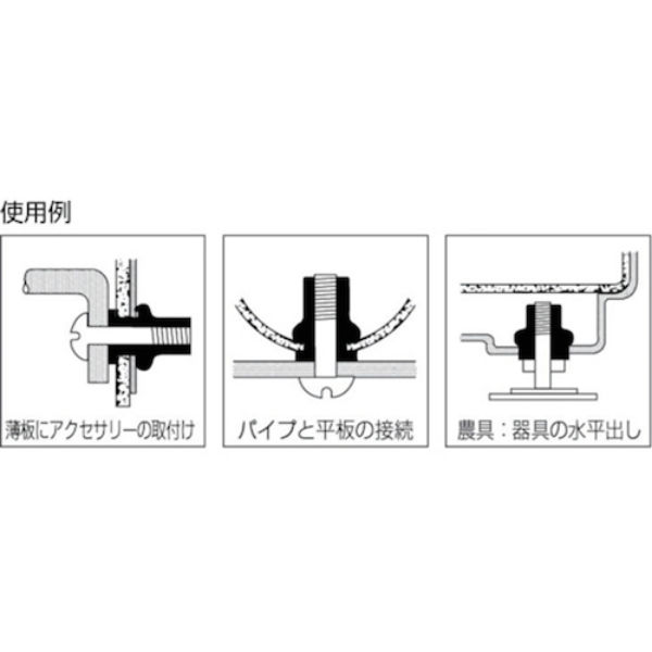 ロブテックス ブラインドナット”エビナット”（薄頭・スチール製