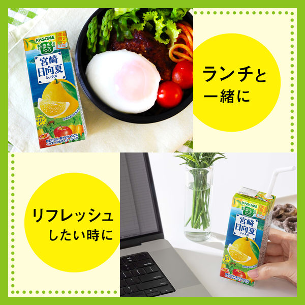 カゴメ 野菜生活100 宮崎日向夏ミックス 195ml 1箱（24本入