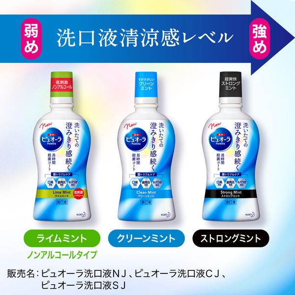 薬用ピュオーラ 洗口液 クリーンミント 850mL 花王 マウスウォッシュ