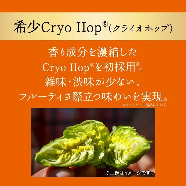 ビール キリンビール グッドエール 500ml 缶 2ケース(48本) - アスクル