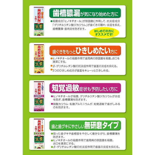 ひきしめ生葉（しょうよう） 歯槽膿漏を防ぐ 薬用ハミガキ ハーブミント味 100g 小林製薬 歯磨き粉