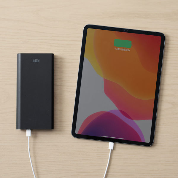 BTL-RDC22【USB Power Delivery対応モバイルバッテリー】【PSE