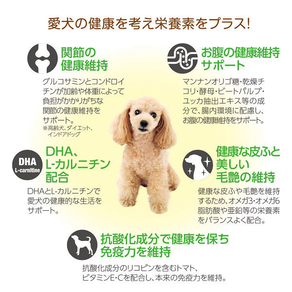 箱売り 1st CHOICE（ファーストチョイス）犬用 10歳以上の高齢犬