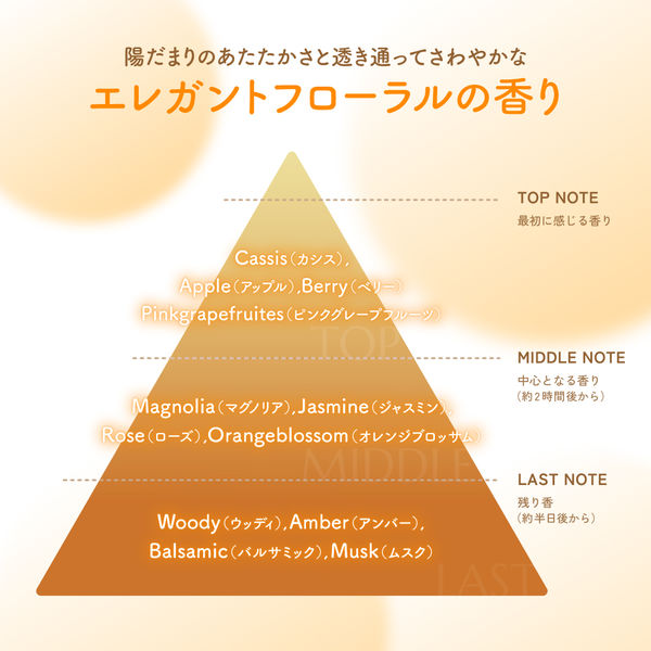 シャンプー ひまわり 種類 ストア