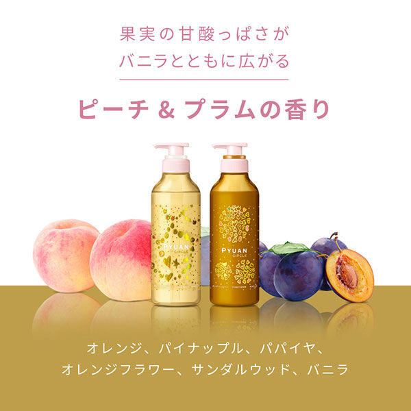 ピュアン サークル シャンプー 詰め替え 340ml 2個　花王