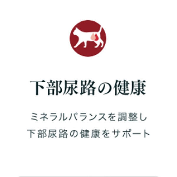 ピュリナワン 1歳までの子ねこ用 チキン グレービー仕立て 70g 24袋