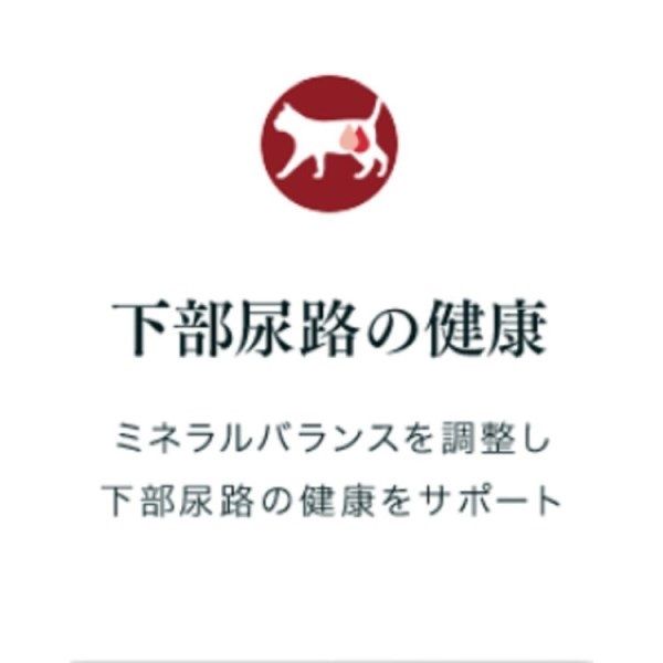 ピュリナワン 室内飼い猫用 1歳以上 チキングレービー仕立て 70g 12袋 