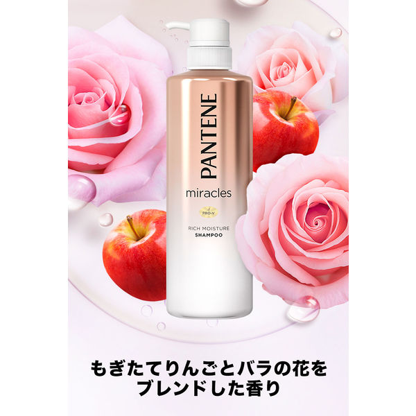 パンテーン ミラクルズ リッチモイスチャー シャンプー 詰め替え 特大サイズ 880ml 2個 P＆G