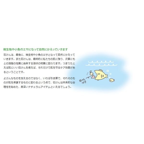 無添加 せっけん 泡のキッチンハンド ハンドソープ 詰め替え 1 無添加 せっけん 泡のキッチンハンド ハンドソープ 詰め替え 1
