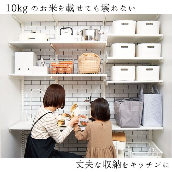 楽天市場】壁面収納 棚 幅45cm 奥行60cm フィットラック TS