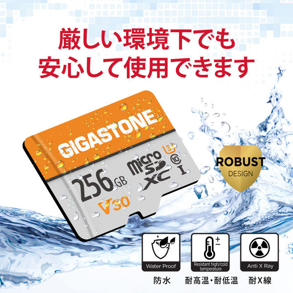 GIGASTONE microSDXCカード U3 V30 256GB2 2枚入り GJMXR