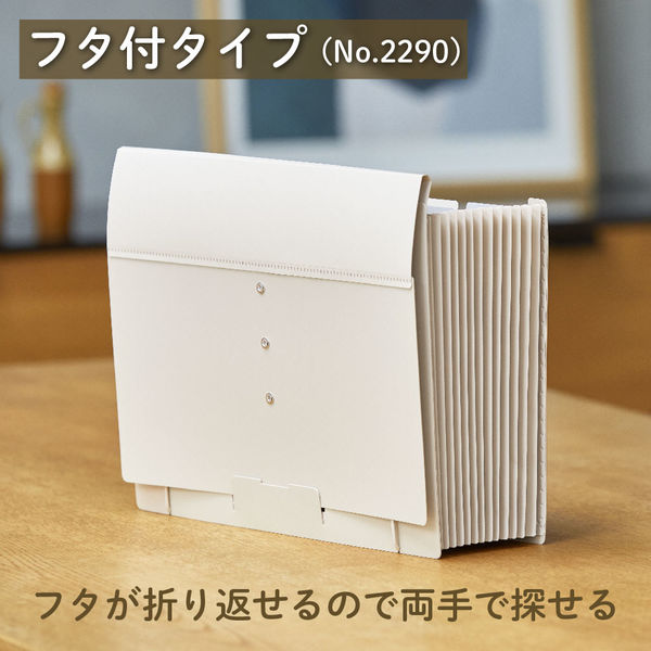ふぁむふぁいページ キングジム サクッと整理！ドキュメントファイル（フタ付