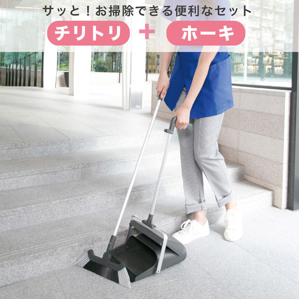 テラモト ほうきちりとりセット ほうき1本柄プロ用30cm ちりとり