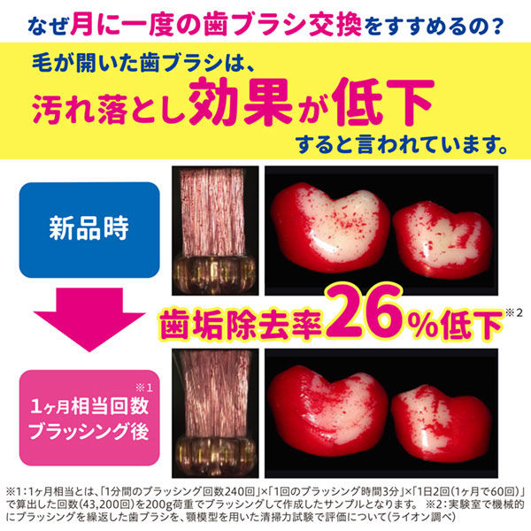 システマ ハブラシ しっかり毛腰 超コンパクト ふつう 歯周病ケア 1セット（3本）ライオン