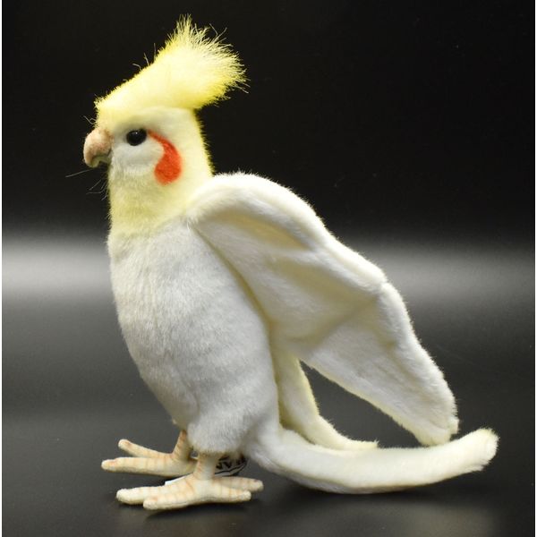 オカメインコ ルチノー×パール 卵5個セット - 卵、乳製品