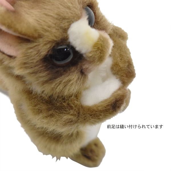 ハンサ ぬいぐるみ 4こ 中古品 まとめ売り バラ売り不可 HANSA ハンサ ネコ ぬいぐるみ 中古品 - メルカリ
