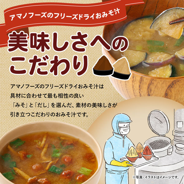 アマノフーズ フリーズドライ いつものおみそ汁 10食入 野菜