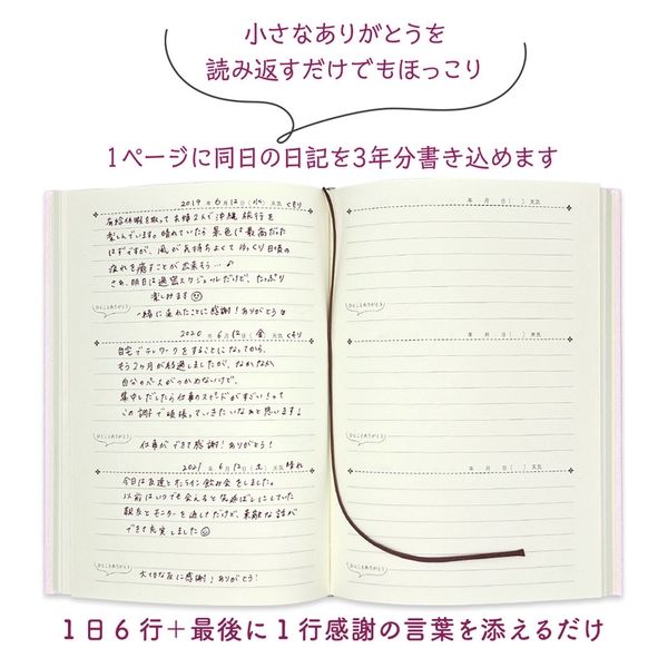 クローズ・ピン みんなの文具3年連用日記 うさぎ DI16255 1セット(3冊