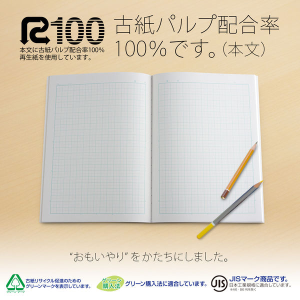日本ノート 科目名入り スクールライン 算数 セミB5 SLS10MT 2冊 - 学習帳