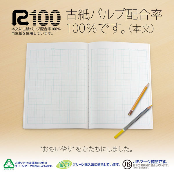 日本ノート 科目名入り スクールライン かんじドリル セミB5