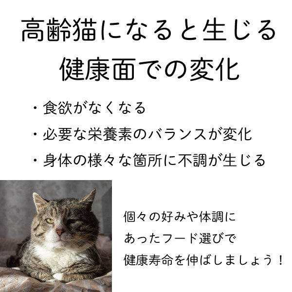 コンボ ピュア キャット 15歳以上用 まぐろ味・鶏肉・かつお節添え 無添加 国産 200g（小分け2袋）6個 キャットフード