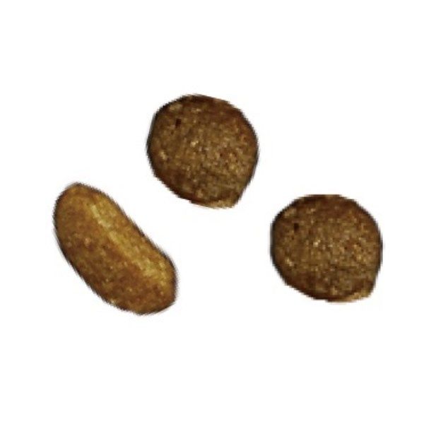 ピュリナワン 猫 子ねこ用 800g(400g×2袋)1袋キャットフード ピュリナワン 猫 子ねこ用 800g(400g×2袋)1袋キャットフード