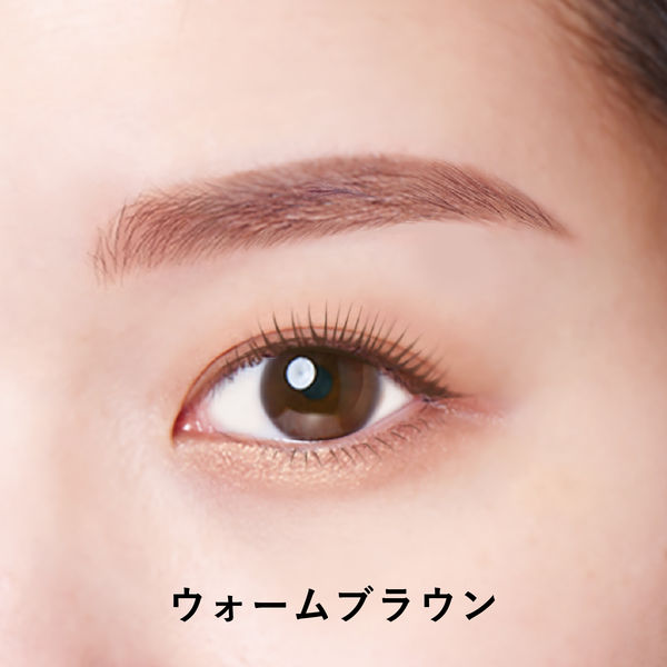 スタイリングライフ・ホールディングス BCL カンパニー ブロウラッシュ