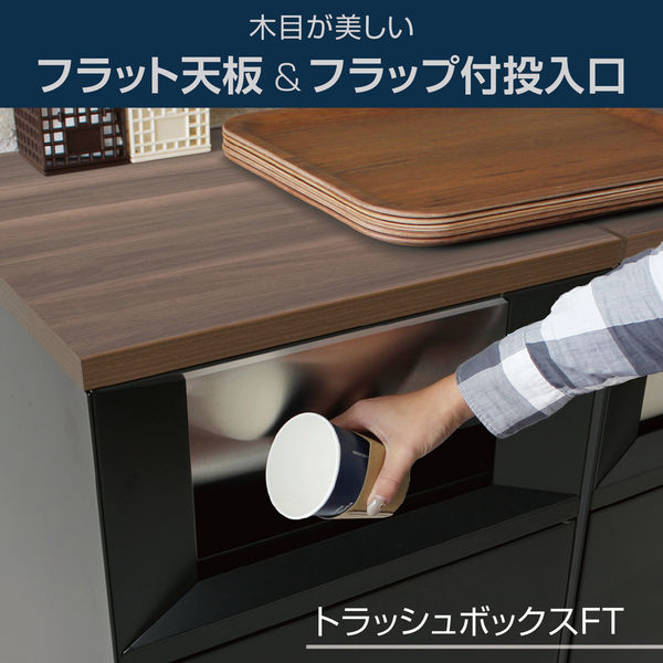 【原価ぶっ壊し割引】トライアンフ シャンパンケース 軒先渡し】テラモト トラッシュボックスFT アーバングレー