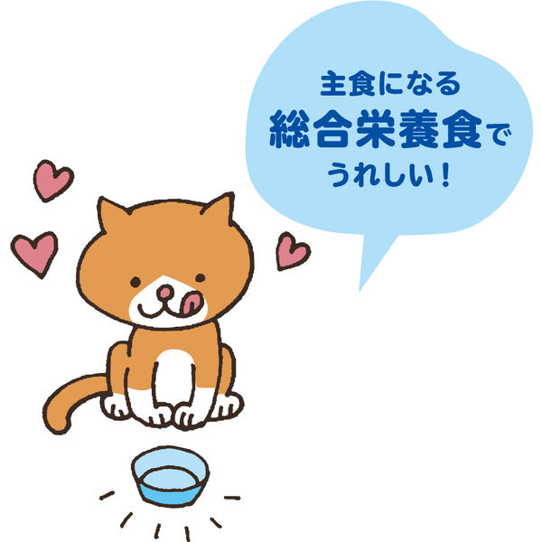 おにく生活 猫 ビーフ味 180g（60g×3袋入）10袋 アイシア 