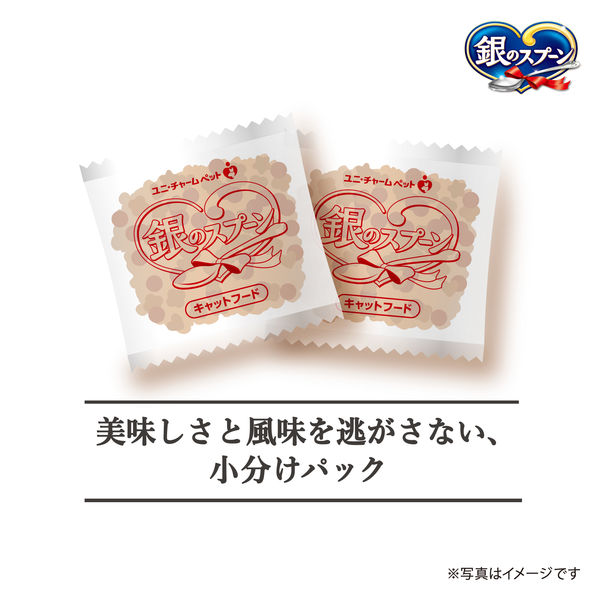 銀のスプーン国産生かつおin 15歳頃から 1.0kg(小分けパック3袋 銀のスプーン国産生かつおin 15歳頃から 1.0kg(小分けパック3袋