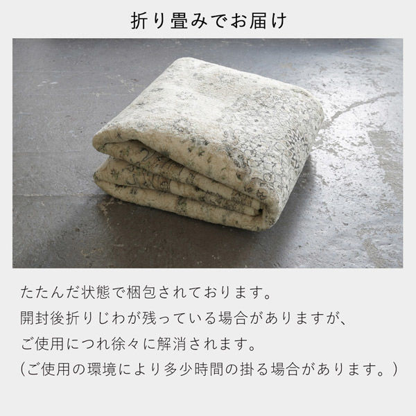 ERARE DICTUM マイクロプリントパイルラグ 1200×1800mm ブラック